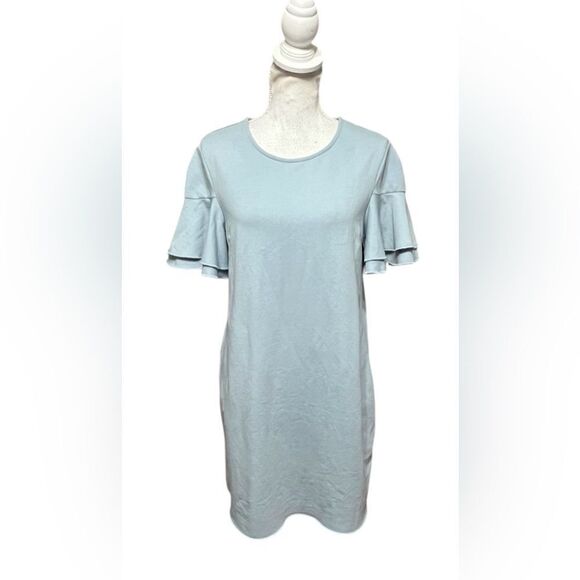 Sundays Muted blue Ruffle Sleeve scoop Neck Shift Dress Size medium - Picture 1 of 5
